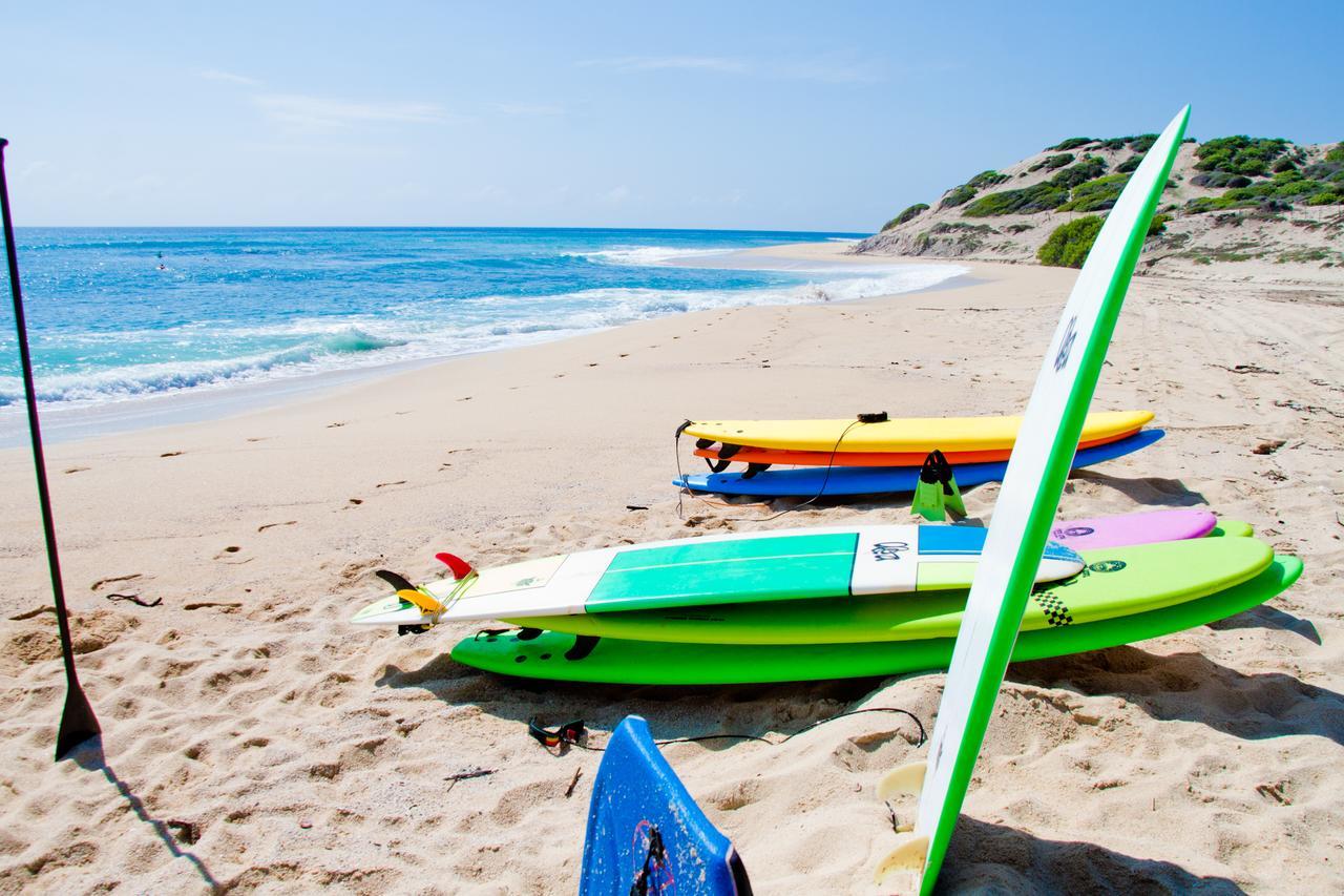 Surf Hostel Cabo "The Riptide" San José del Cabo 外观 照片